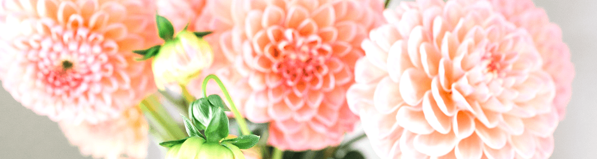 明るい笑顔でいたい。だからこそリラックスタイムを。